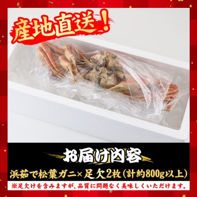 浜茹松葉ガニ足欠(2枚/計800g以上)【11月10日～2月28日発送】