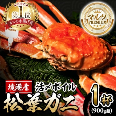 活〆ボイル松葉蟹(900g)PREMIUMタグ付【11月中旬から順次発送】