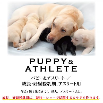 ラブガド パピー&アスリート(3kg)