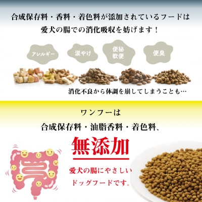 ラブガド シニア(3kg)