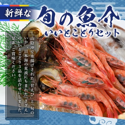 甘えび/旬のいか/サザエの詰合せ【5月中旬-9月中旬発送不可】
