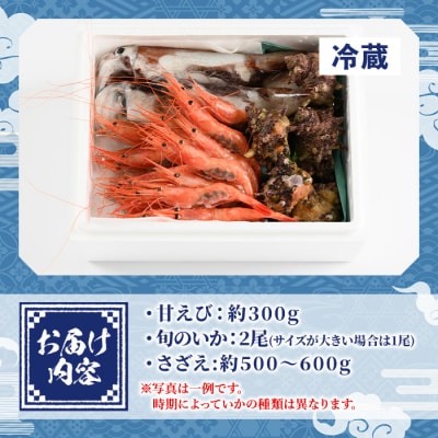 甘えび/旬のいか/サザエの詰合せ【5月中旬-9月中旬発送不可】