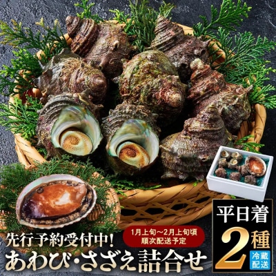 <平日着><1月上旬～2月上旬頃順次配送>あわび・さざえ詰合せ(2種)