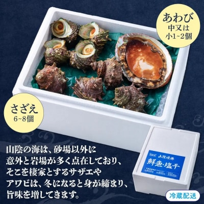 <平日着><1月上旬～2月上旬頃順次配送>あわび・さざえ詰合せ(2種)