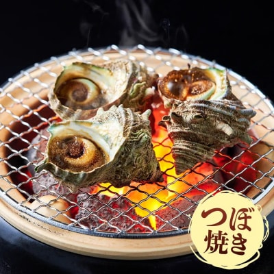 <平日着><1月上旬～2月上旬頃順次配送>あわび・さざえ詰合せ(2種)