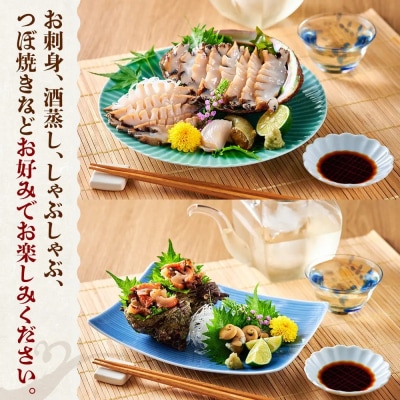 <平日着><1月上旬～2月上旬頃順次配送>あわび・さざえ詰合せ(2種)