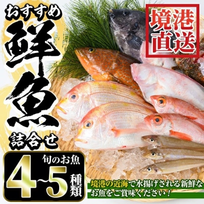 おすすめ鮮魚詰め合わせ(4-5種類)【7-8月、年末年始配送不可】