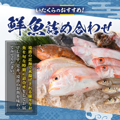 おすすめ鮮魚詰め合わせ(4-5種類)【7-8月、年末年始配送不可】