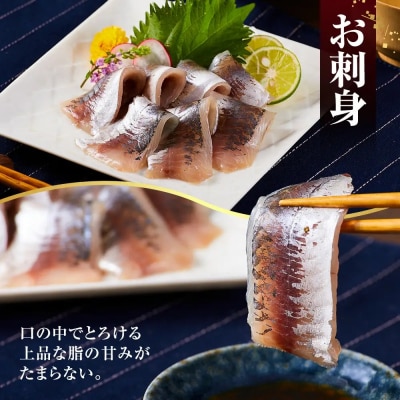 冷凍お刺身用あじ(計450g/150g×3パック)