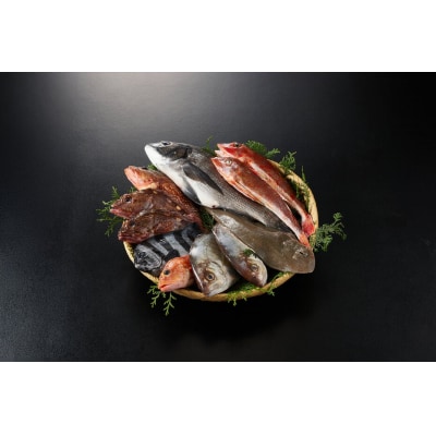 <4月上旬～10月末頃発送予定>朝獲れ鮮魚ボックス「美保湾の恵み」(計2.5kg以上)