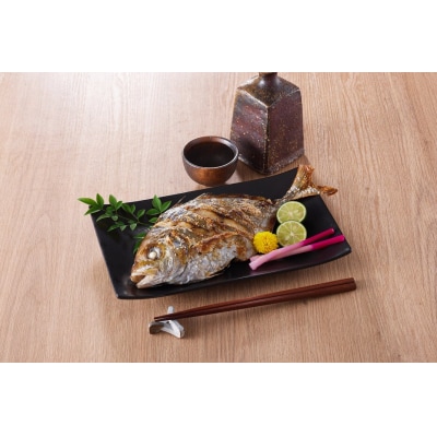 <火～木着><4月上旬～10月末頃発送予定>朝獲れ鮮魚ボックス「美保湾の恵み」(計2.5kg以上)