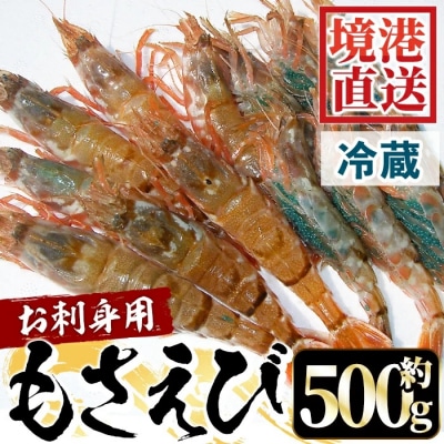 モサエビ(約500g)【3月10日-4月20日配送】
