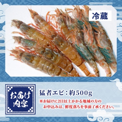 モサエビ(約500g)【3月10日-4月20日配送】