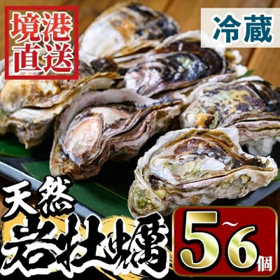 天然岩牡蠣(5-6個)【6月10日～7月10日配送】