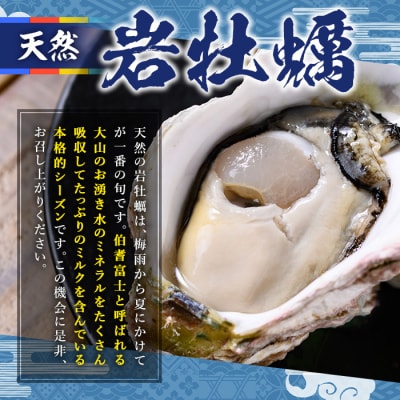 天然岩牡蠣(5-6個)【6月10日～7月10日配送】