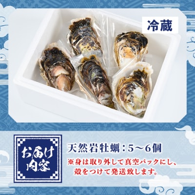 天然岩牡蠣(5-6個)【6月10日～7月10日配送】
