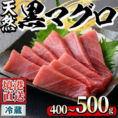近海天然黒マグロ(約400-500g)【6月10日-7月10日配送】