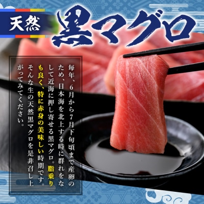 近海天然黒マグロ(約400-500g)【6月10日-7月10日配送】