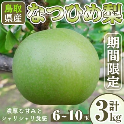 なつひめ梨(6-10玉/3kg)【8月下旬-10月下旬発送予定】