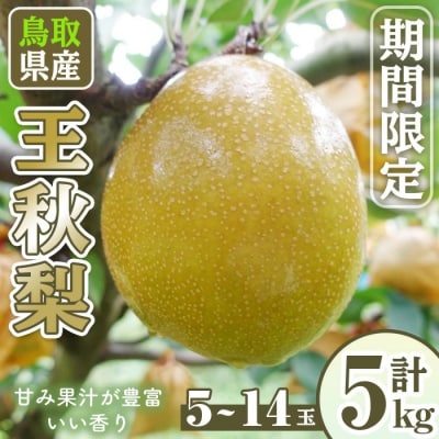 王秋梨(5-14玉/5kg)【11月上旬-12月下旬発送予定】