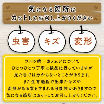 新興梨(5-10玉/3kg)【10月上旬-12月下旬発送予定】