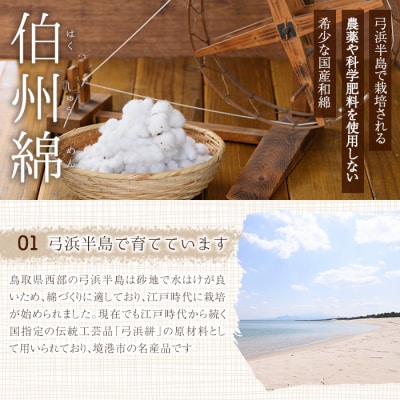 伯州綿ピアス
