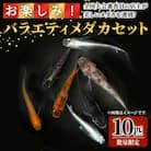 <数量限定>お楽しみ!バラエティメダカ10匹セット