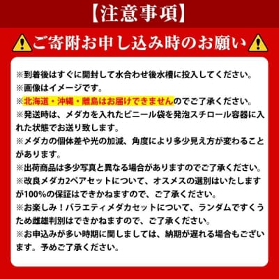 <数量限定>お楽しみ!バラエティメダカ10匹セット