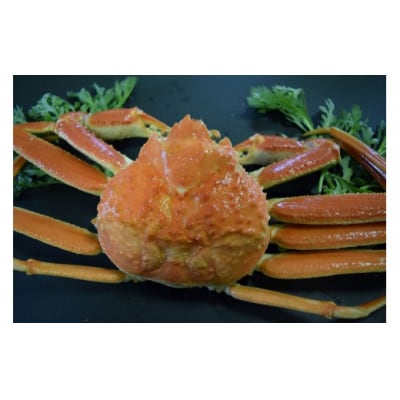 <訳あり><1月中旬～2月下旬配送予定>茹で松葉ガニ 足欠(約500g前後・1尾)