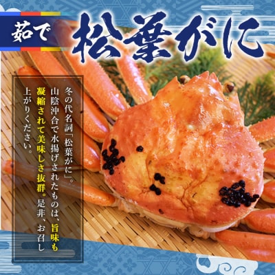 茹で松葉がに足欠(1尾/約500g)【1月中旬～2月末順次発送】