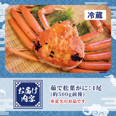 茹で松葉がに足欠(1尾/約500g)【1月中旬～2月末順次発送】