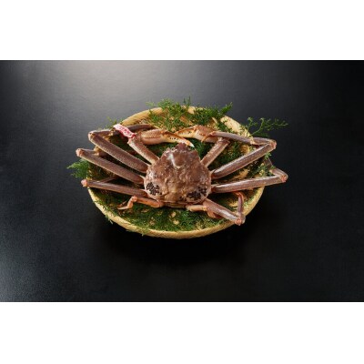 <11月中旬～3月中旬発送予定>活松葉ガニ 特々大 1.2kg以上