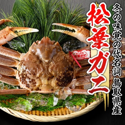 活松葉ガニ 特々大(1.2kg以上)【11月中旬～3月中旬配送】