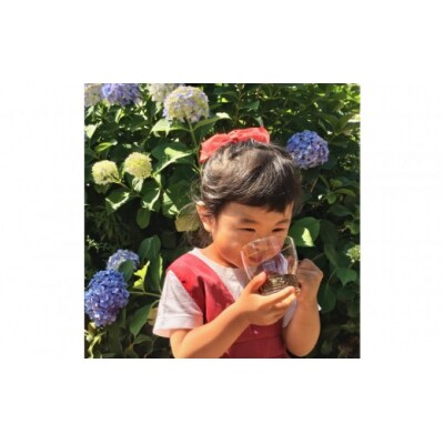 野草茶バラエティーAセット(計50袋)