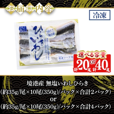 無塩いわしひらき(10尾×2P)