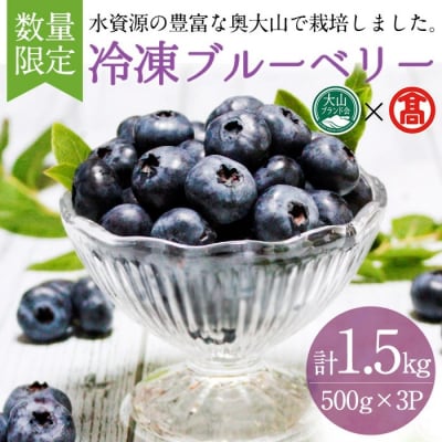 <奥大山ブルーベリーファーム>冷凍ブルーベリー