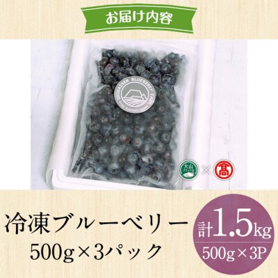 <奥大山ブルーベリーファーム>冷凍ブルーベリー