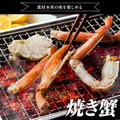 ずわいがに詰合せ(計1kg)