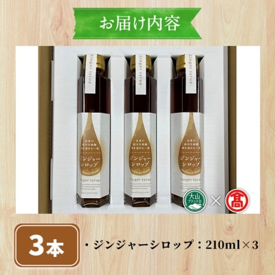 <日南トマト加工>ジンジャーシロップ3本セット