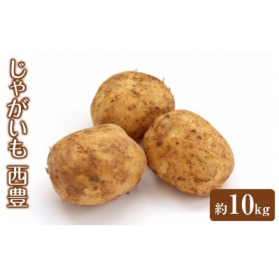 <先行予約受付中!12月中旬～2月中旬発送予定>じゃがいも 西豊(約10kg)