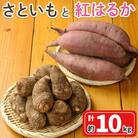 さといもと紅はるかのセット(約10kg)<10月上旬～2月下旬発送予定>