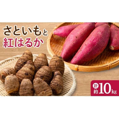 <先行予約受付中!10月上旬～2月下旬発送予定>さといもと紅はるかのセット(約10kg)