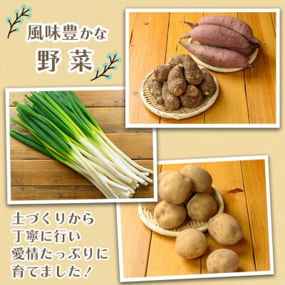 さといもと紅はるかのセット(約10kg)<10月上旬～2月下旬発送予定>