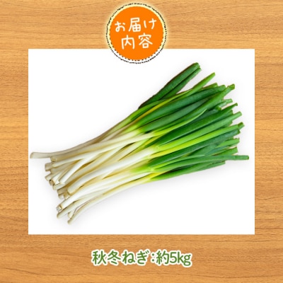 秋冬ねぎ(約5kg)<11月中旬～3月下旬発送予定>