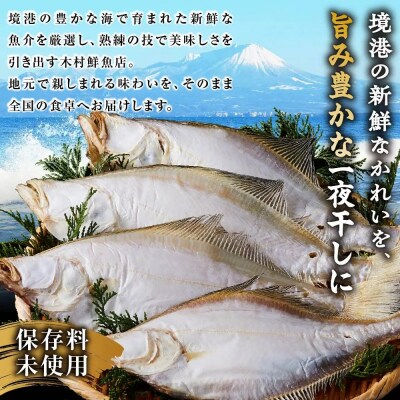 一夜干しかれい 大サイズ!(4枚)【鳥取県 境港市】