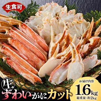 生ずわいがにカット(生食可)(1.6kg/総重量約2kg)