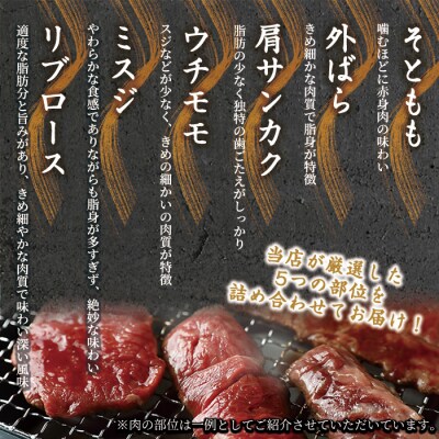 鳥取和牛希少部位5種焼肉食べ比べセット(350g・精肉箱付き)