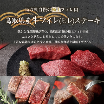 鳥取県産牛フィレ(ヒレ)ステーキ(2枚)