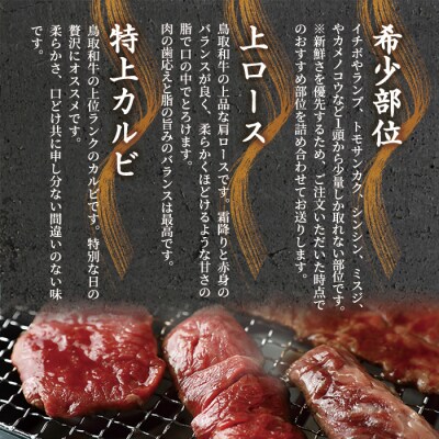 特選上ロース特上カルビ&希少部位入り焼肉セット(600g)