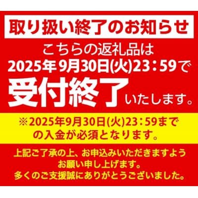 【9月30日受付終了】ランウォーク ゴアテックスメンズビジネスシューズ(WR819P)26.5cm